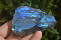 Polished One Sided A Grade Labradorite Flashy Specimens - Sold per 1 Kg (18-25 per pack) - From Tulear, Madagascar - Toprock Gemstones and Minerals 