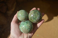 Polished Green Chrysoprase Spheres  x 6 From Madagascar