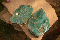 Polished  One Side Polished Emerald Mtorolite Plates  x 2 From Zimbabwe