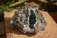 Natural Drusy Coated Ball Malachite On Dolomite Specimen  x 1 From Congo