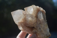 Natural Cascading White Phantom Smokey Quartz Clusters  x 2 From Luena, Congo - Toprock Gemstones and Minerals 