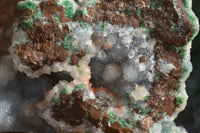 Natural Drusy Coated Ball Malachite On Dolomite Specimen  x 1 From Congo