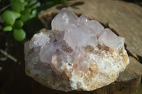 Natural Spirit Amethyst Quartz Clusters  x 4 From Boekenhouthoek, South Africa - Toprock Gemstones and Minerals 