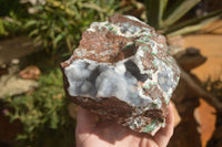 Natural Drusy Coated Ball Malachite On Dolomite Specimen  x 1 From Congo