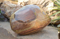 Polished Extra Large Polychrome / Picasso Jasper Standing Free Form  x 1 From Mahajanga, Madagascar - TopRock