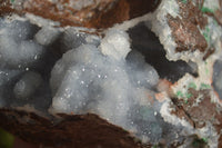 Natural Drusy Coated Ball Malachite On Dolomite Specimen  x 1 From Congo