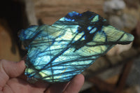 Polished One Sided A Grade Labradorite Flashy Specimens - Sold per 1 Kg (18-25 per pack) - From Tulear, Madagascar - Toprock Gemstones and Minerals 