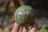 Polished Green Chrysoprase Spheres  x 6 From Madagascar