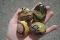 Polished Stunning Mixed Selection Of Palm Stones  x 20 From Madagascar - Toprock Gemstones and Minerals 