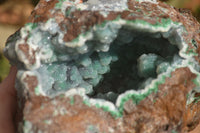 Natural Drusy Coated Ball Malachite On Dolomite Specimen  x 1 From Congo