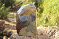 Polished Extra Large Polychrome / Picasso Jasper Standing Free Form  x 1 From Mahajanga, Madagascar - TopRock