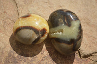 Polished Stunning Mixed Selection Of Palm Stones  x 20 From Madagascar - Toprock Gemstones and Minerals 