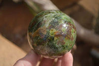 Polished Green Chrysoprase Spheres  x 6 From Madagascar