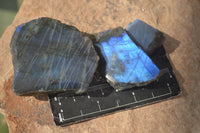 Polished One Sided A Grade Labradorite Flashy Specimens - Sold per 1 Kg (18-25 per pack) - From Tulear, Madagascar - Toprock Gemstones and Minerals 