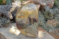 Polished Extra Large Polychrome / Picasso Jasper Standing Free Form  x 1 From Mahajanga, Madagascar - TopRock