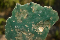 Polished  One Side Polished Emerald Mtorolite Plates  x 2 From Zimbabwe