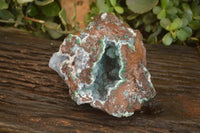 Natural Drusy Coated Ball Malachite On Dolomite Specimen  x 1 From Congo