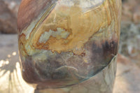 Polished Extra Large Polychrome / Picasso Jasper Standing Free Form  x 1 From Mahajanga, Madagascar - TopRock