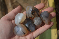 Polished A Grade Dendritic Agate Free Forms  - Sold per 1 kg (39-52 per pack) - From Moralambo, Madagascar - Toprock Gemstones and Minerals 