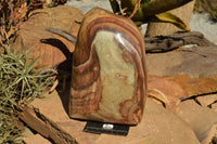 Polished Extra Large Polychrome / Picasso Jasper Standing Free Form  x 1 From Mahajanga, Madagascar - TopRock