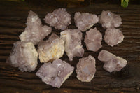 Natural Sunburst Cactus Flower Amethyst Quartz Clusters x 12 From Boekenhouthoek, South Africa