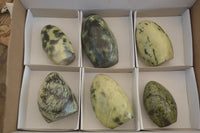 Polished  Leopard Stone Standing Free Forms  x 6 From Inyanga, Zimbabwe