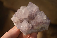 Natural Sunburst Cactus Flower Amethyst Quartz Clusters x 12 From Boekenhouthoek, South Africa