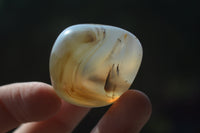 Polished A Grade Dendritic Agate Free Forms  - Sold per 1 kg (39-52 per pack) - From Moralambo, Madagascar - Toprock Gemstones and Minerals 