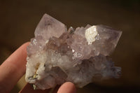 Natural Sunburst Cactus Flower Amethyst Quartz Clusters x 12 From Boekenhouthoek, South Africa