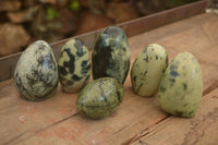 Polished  Leopard Stone Standing Free Forms  x 6 From Inyanga, Zimbabwe