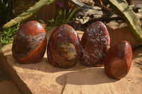 Polished Red Jasper Standing Free Forms  x 4 From Madagascar - Toprock Gemstones and Minerals 