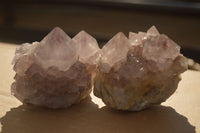 Natural Sunburst Cactus Flower Amethyst Quartz Clusters x 12 From Boekenhouthoek, South Africa