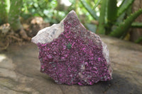 Natural Extra Large Pink Salrose Dolomite Specimen x 1 From Kakanda, Congo - Toprock Gemstones and Minerals 