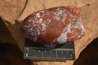 Polished Red Jasper Standing Free Forms  x 4 From Madagascar - Toprock Gemstones and Minerals 