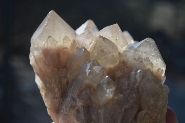 Natural Cascading Smokey Quartz Cluster x 1 From Luena, Congo