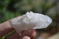 Natural Single Clear Quartz Crystals  x 35 From Mpika, Zambia - Toprock Gemstones and Minerals 