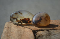 Polished A Grade Dendritic Agate Free Forms  - Sold per 1 kg (39-52 per pack) - From Moralambo, Madagascar - Toprock Gemstones and Minerals 