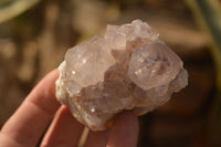 Natural Sunburst Cactus Flower Amethyst Quartz Clusters x 12 From Boekenhouthoek, South Africa