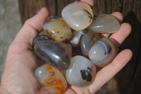 Polished A Grade Dendritic Agate Free Forms  - Sold per 1 kg (39-52 per pack) - From Moralambo, Madagascar - Toprock Gemstones and Minerals 