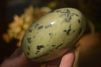 Polished  Leopard Stone Standing Free Forms  x 6 From Inyanga, Zimbabwe