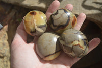 Polished Septerye (Aragonite & Calcite) Palm Stones  x 12 From Madagascar - Toprock Gemstones and Minerals 