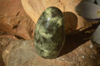 Polished  Leopard Stone Standing Free Forms  x 6 From Inyanga, Zimbabwe