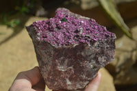 Natural Extra Large Pink Salrose Dolomite Specimen x 1 From Kakanda, Congo - Toprock Gemstones and Minerals 