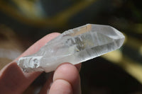 Natural Single Clear Quartz Crystals  x 35 From Mpika, Zambia - Toprock Gemstones and Minerals 