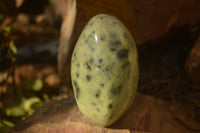 Polished  Leopard Stone Standing Free Forms  x 6 From Inyanga, Zimbabwe