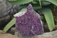 Natural Extra Large Pink Salrose Dolomite Specimen x 1 From Kakanda, Congo - Toprock Gemstones and Minerals 