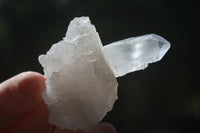 Natural Single Clear Quartz Crystals  x 35 From Mpika, Zambia - Toprock Gemstones and Minerals 