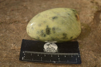 Polished  Leopard Stone Standing Free Forms  x 6 From Inyanga, Zimbabwe