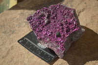 Natural Extra Large Pink Salrose Dolomite Specimen x 1 From Kakanda, Congo - Toprock Gemstones and Minerals 