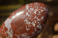 Polished Red Jasper Standing Free Forms  x 4 From Madagascar - Toprock Gemstones and Minerals 